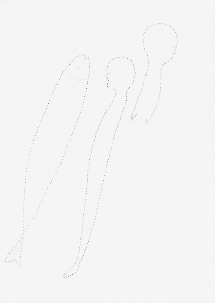 untitled, 1994; Papier, Perforierung mit Nadel / paper, perforated with needle, 29,4 x 21 cm