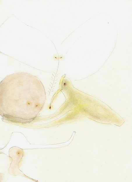 untitled, 2005; Papier, Bleistift, Mischtechnik / paper, pencil, mixed media, 35,5 x 26,6 cm