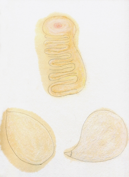 untitled, 2004; Papier, Bleistift, Mischtechnik / paper, pencil, mixed media, 35,5 x 26,6 cm