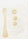 untitled, 2004; Papier, Bleistift, Mischtechnik / paper, pencil, mixed media, 35,5 x 26,6 cm
