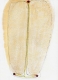 untitled, 2004; Papier, Bleistift, Mischtechnik / paper, pencil, mixed media, 35,5 x 26,6 cm